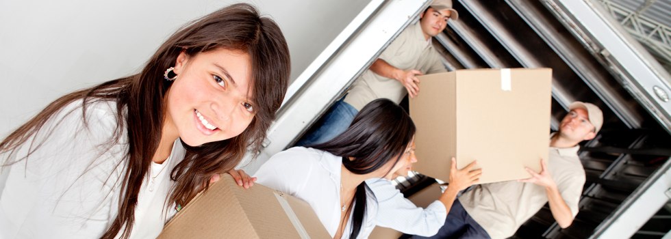 Professional Removalists Linville